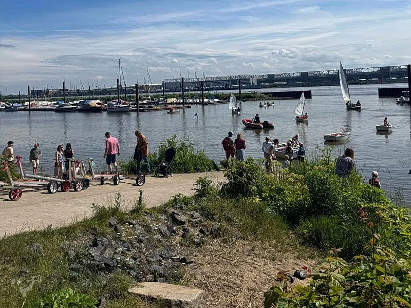 Baumschaukeln an der Elbe – Bild 21