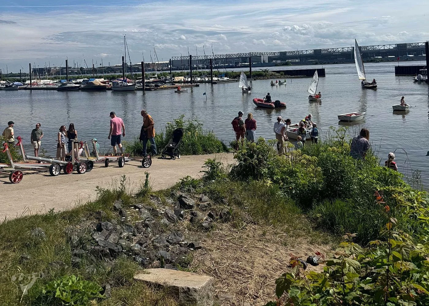 Baumschaukeln an der Elbe – Foto 21
