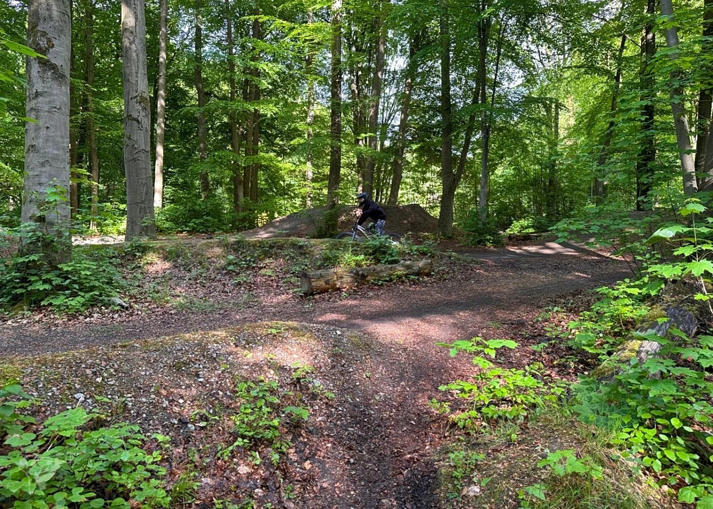 Bikepark Volkspark – Foto 17