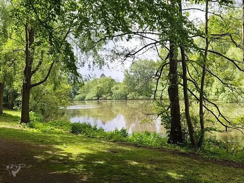 Eppendorfer Mühlenteich – Bild 3