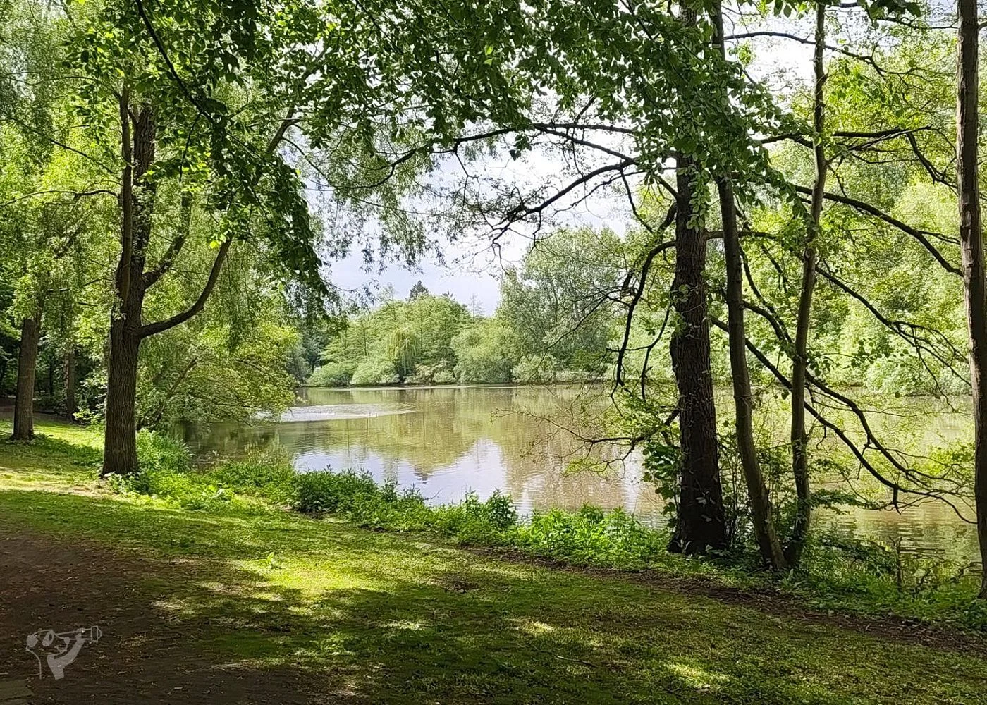 Eppendorfer Mühlenteich – Foto 2