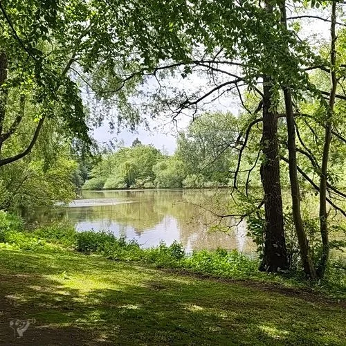 Eppendorfer Mühlenteich