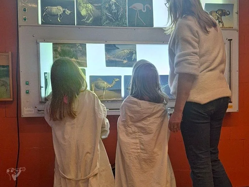 KL!CK Kindermuseum – Bild 6