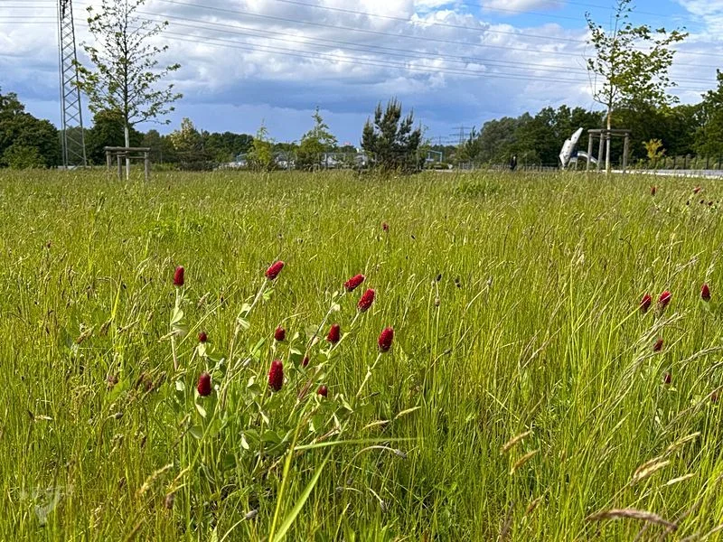 Deckelpark Stellingen – Bild 10