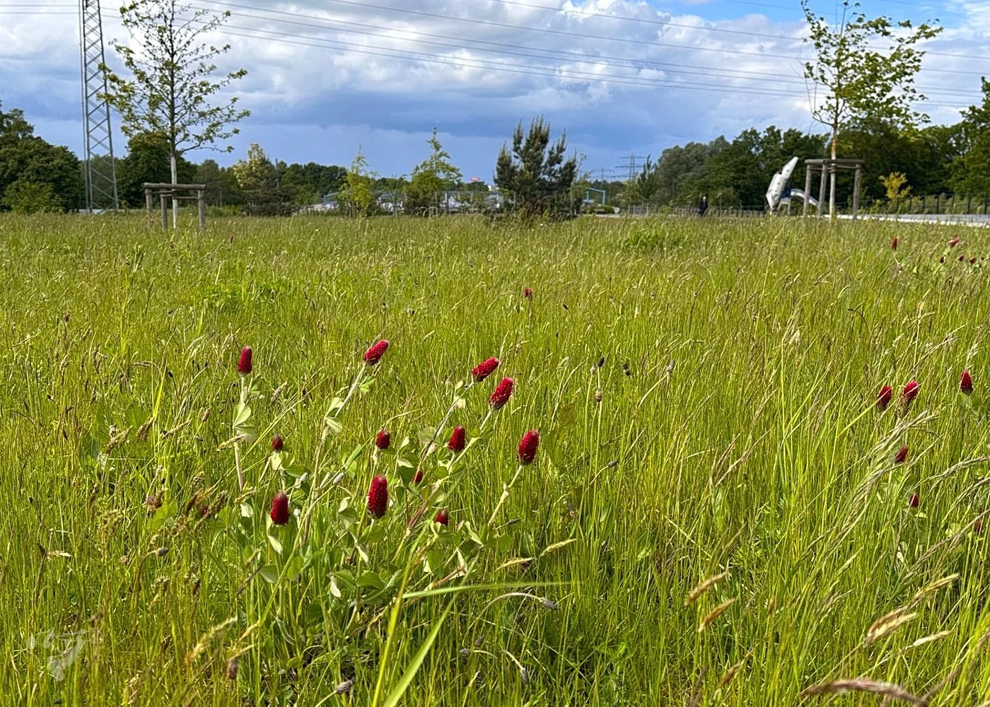 Deckelpark Stellingen – Foto 10