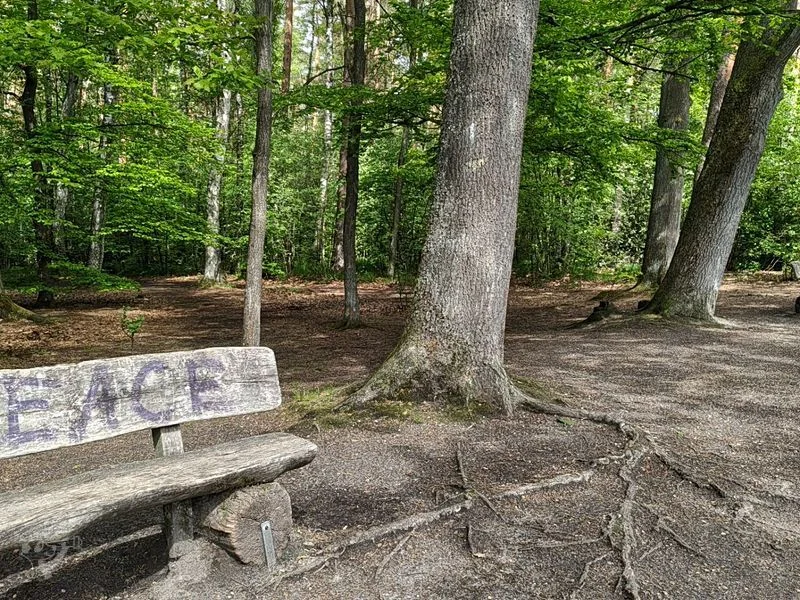 Naturschutzgebiet Raakmoor – Bild 3