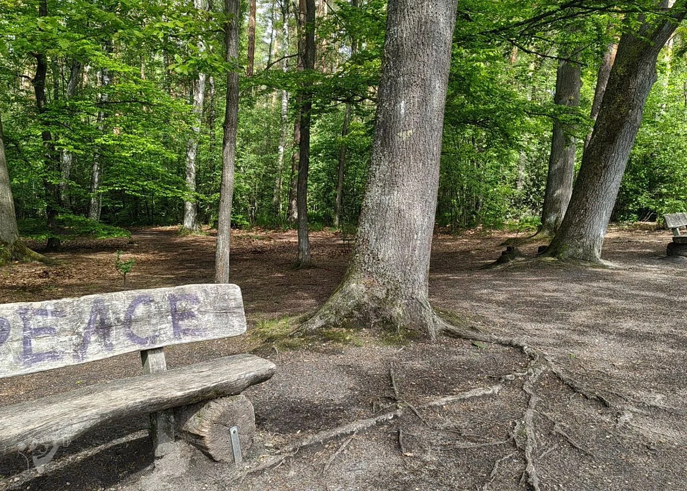Naturschutzgebiet Raakmoor – Foto 3