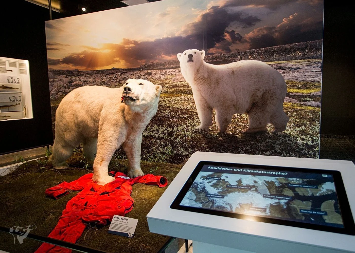 Museum der Natur · Zoologische Ausstellung – Foto 8