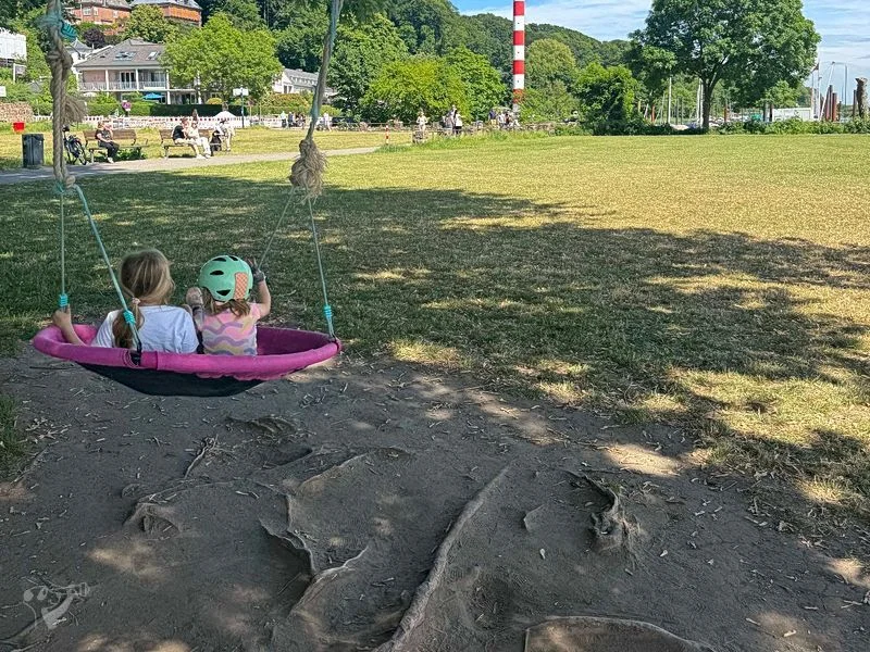 Baumschaukeln an der Elbe – Bild 1