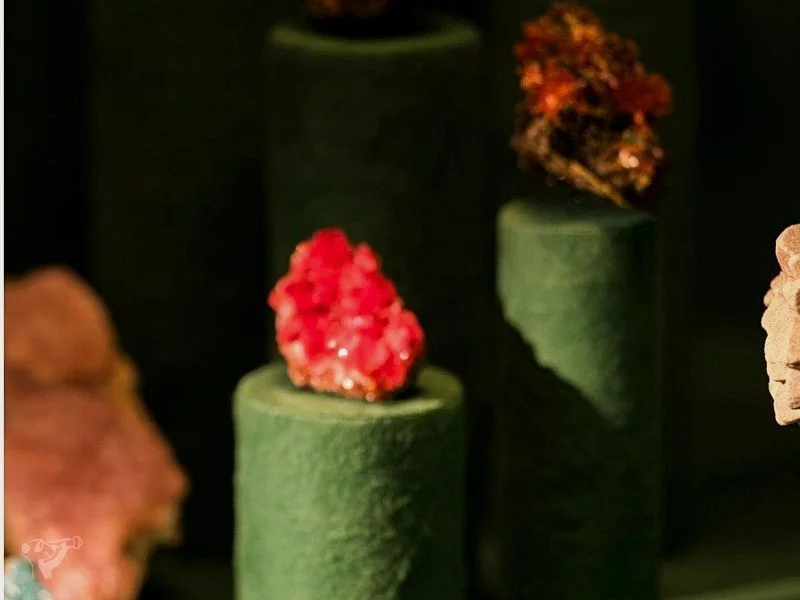 Museum der Natur · Mineralogische Ausstellung