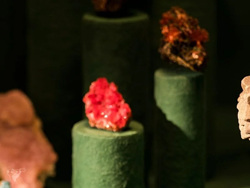 Museum der Natur · Mineralogische Ausstellung
