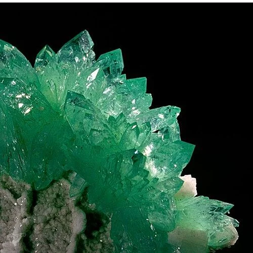 Museum der Natur · Mineralogische Ausstellung