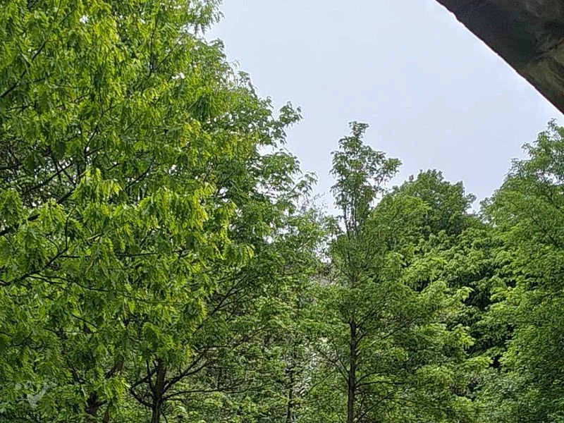Eppendorfer Mühlenteich – Bild 11