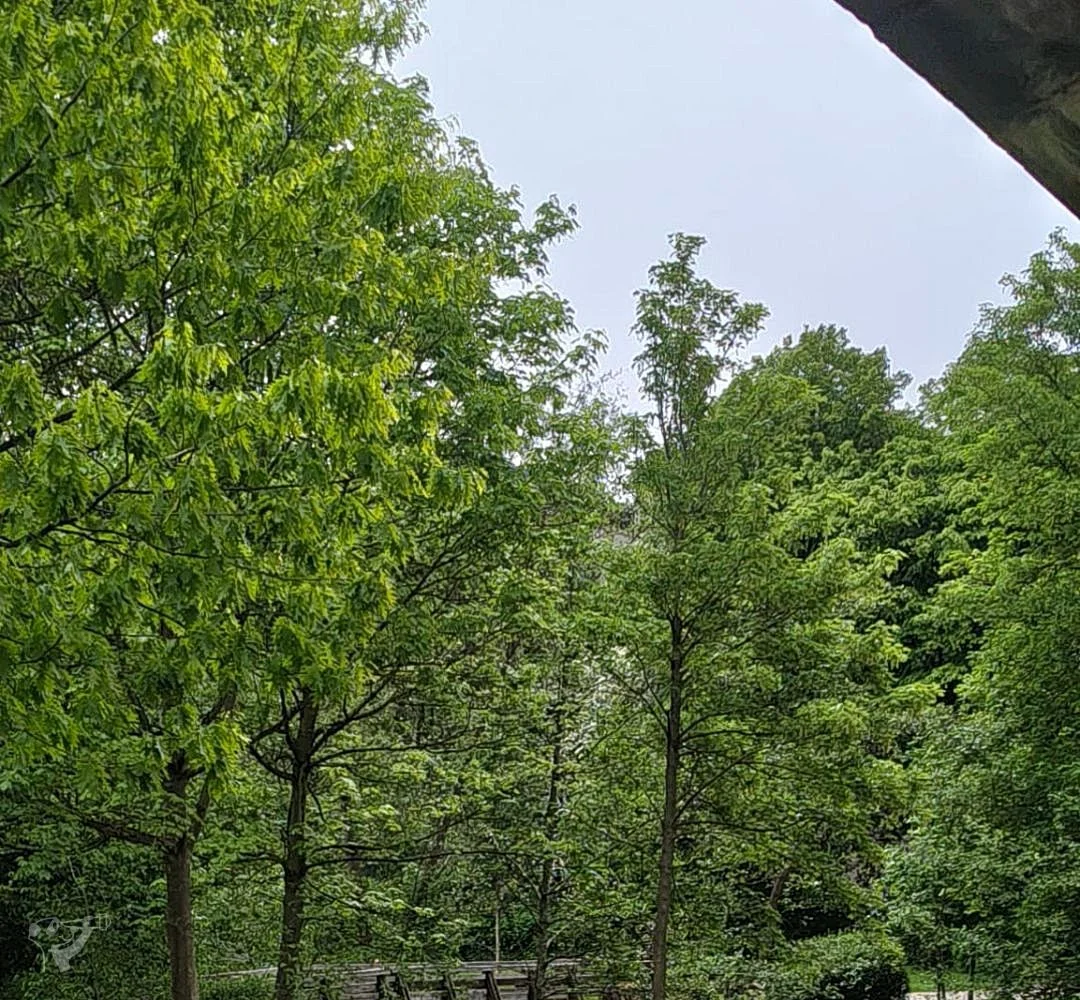 Eppendorfer Mühlenteich – Foto 10
