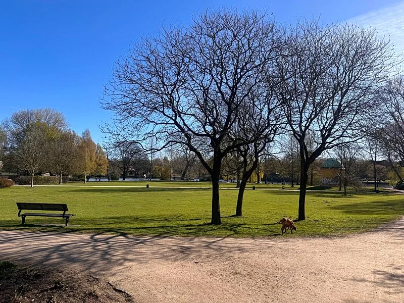 Hayns Park – Bild 12