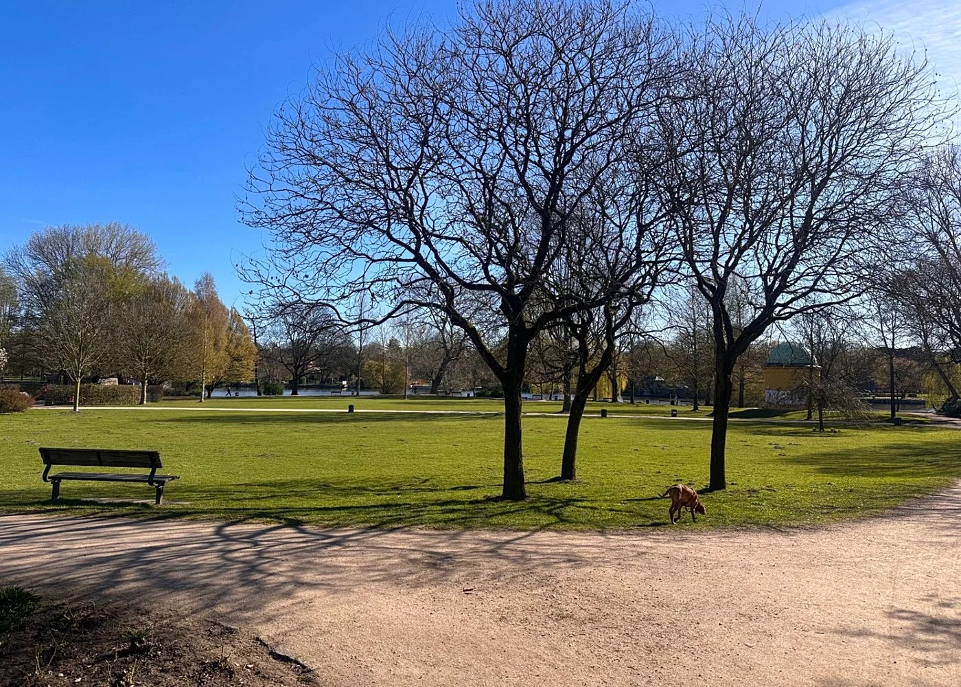 Hayns Park – Foto 12