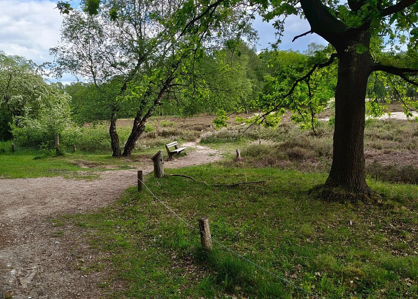 Boberger Niederung und Strand – Foto 9