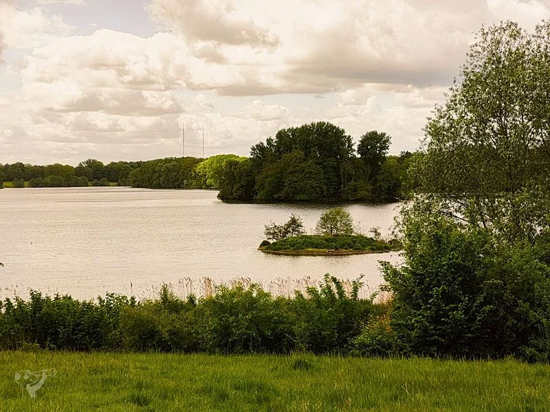 Öjendorfer Park – Bild 14
