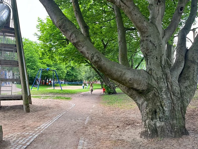 Lohmühlenpark St.Georg – Bild 3