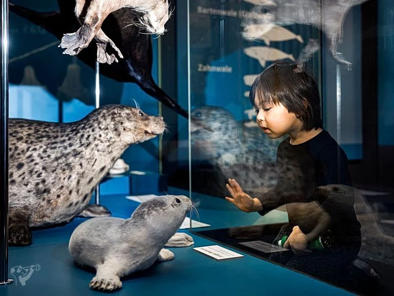 Museum der Natur · Zoologische Ausstellung – Bild 1