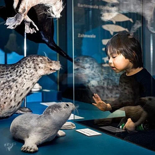 Museum der Natur · Zoologische Ausstellung