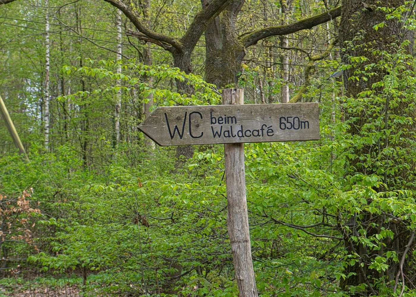 Spielplatz im Niendorfer Gehege – Foto 5