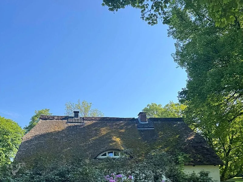 Hirschpark und Spielplatz – Bild 17