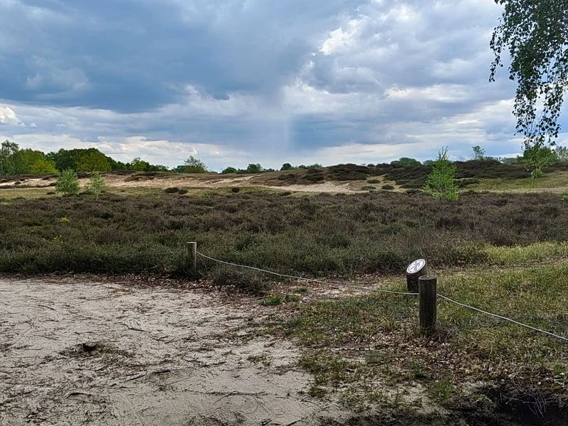 Boberger Niederung und Strand – Bild 16