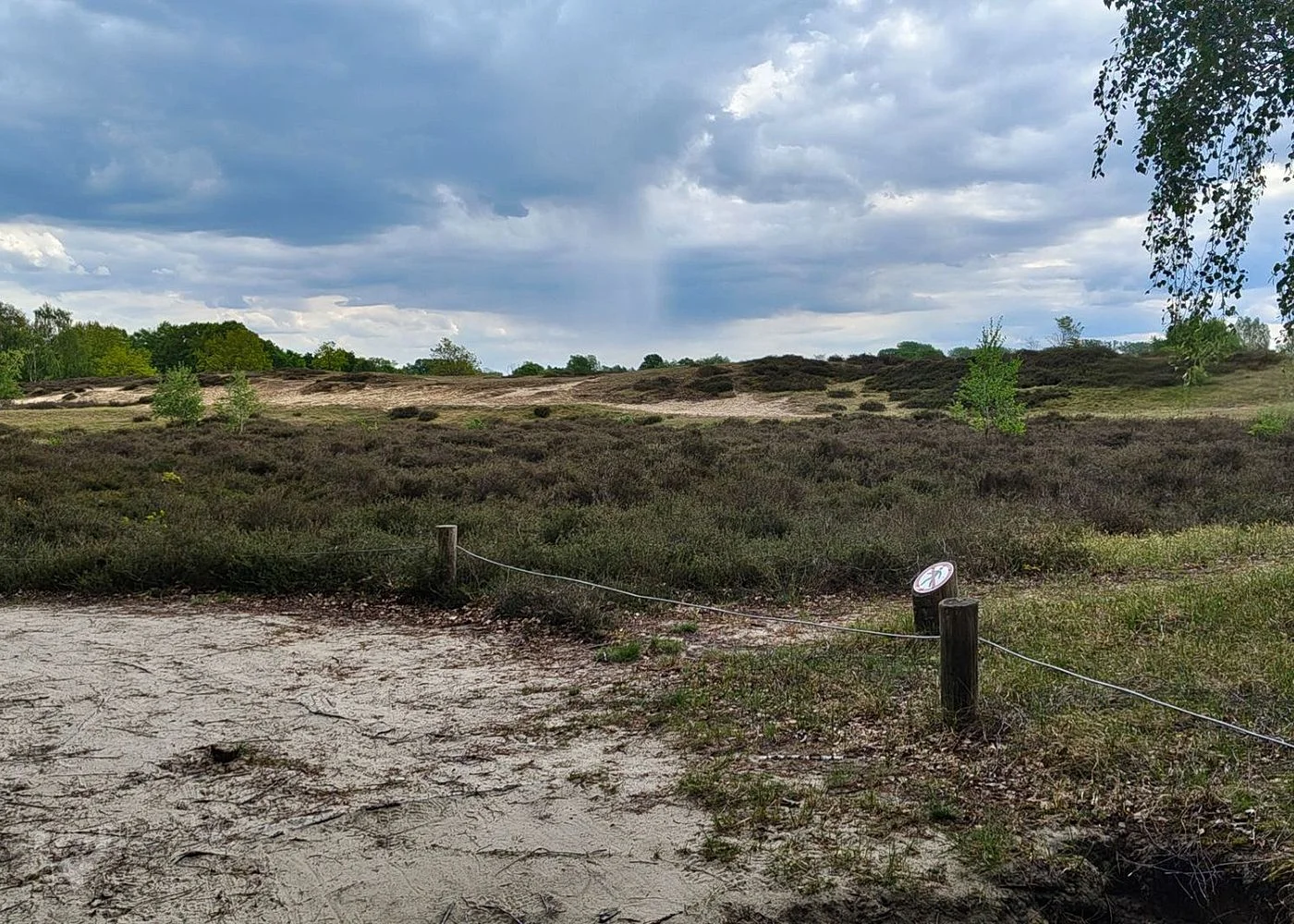 Boberger Niederung und Strand – Foto 16