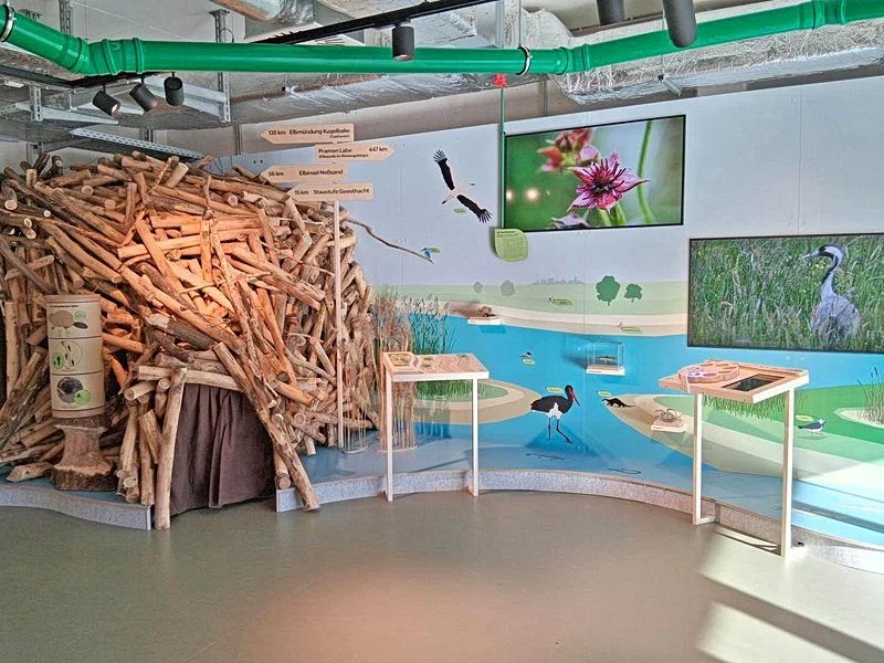 NaturRaum HafenCity - Zwischen Elbe und Asphalt – Bild 6