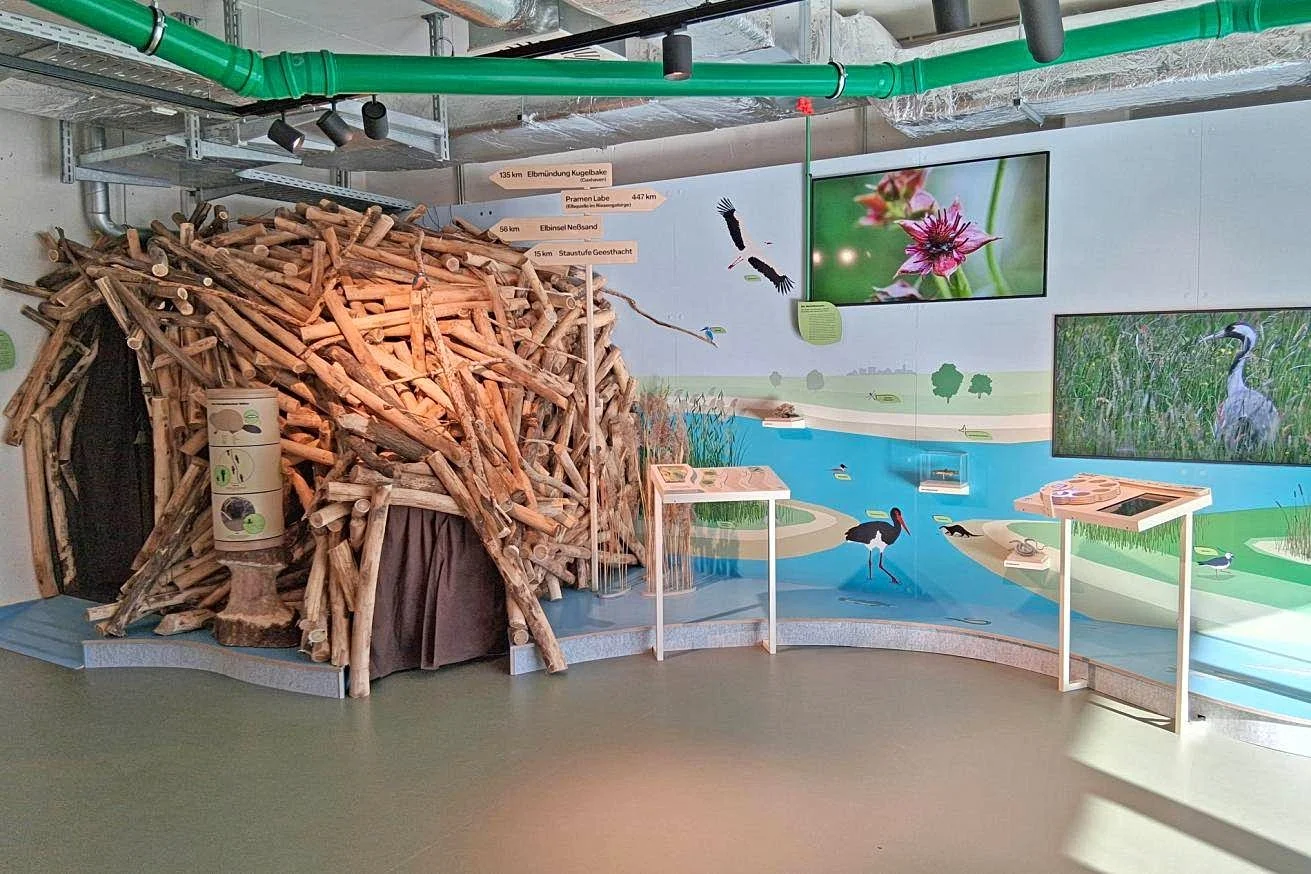 NaturRaum HafenCity - Zwischen Elbe und Asphalt – Foto 6