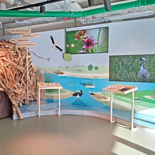 NaturRaum HafenCity - Zwischen Elbe und Asphalt