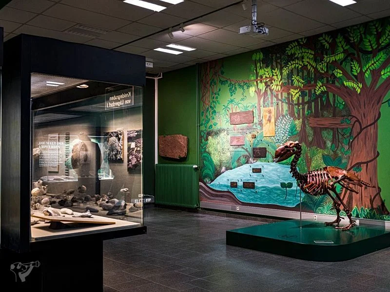 Museum der Natur · Geologische Ausstellung – Bild 9