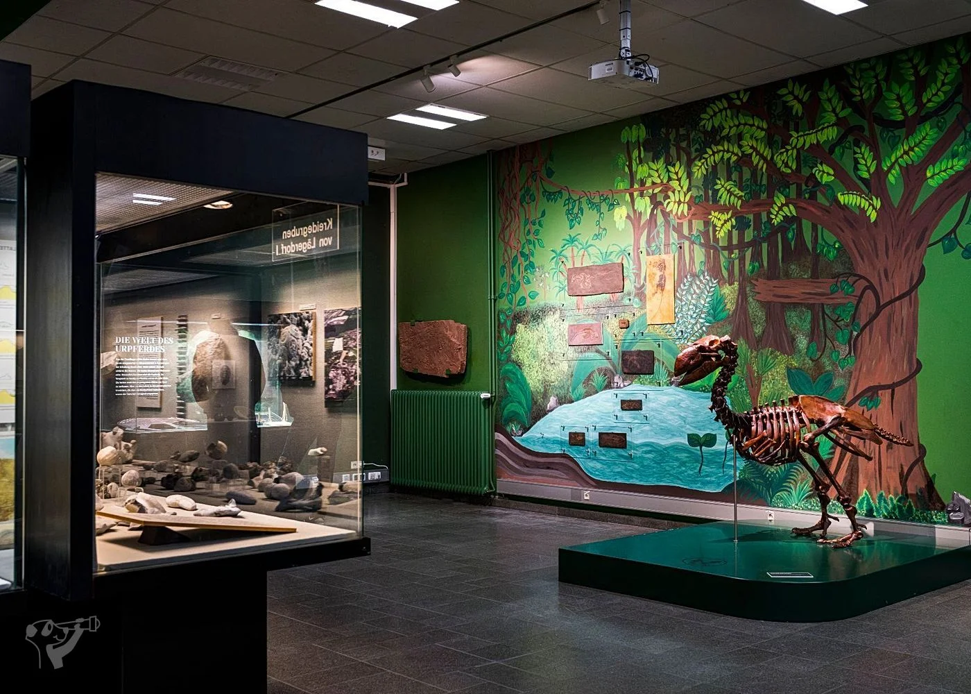 Museum der Natur · Geologische Ausstellung – Foto 8