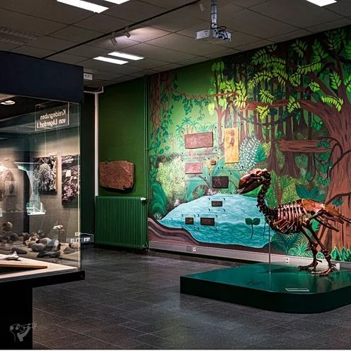 Museum der Natur · Geologische Ausstellung