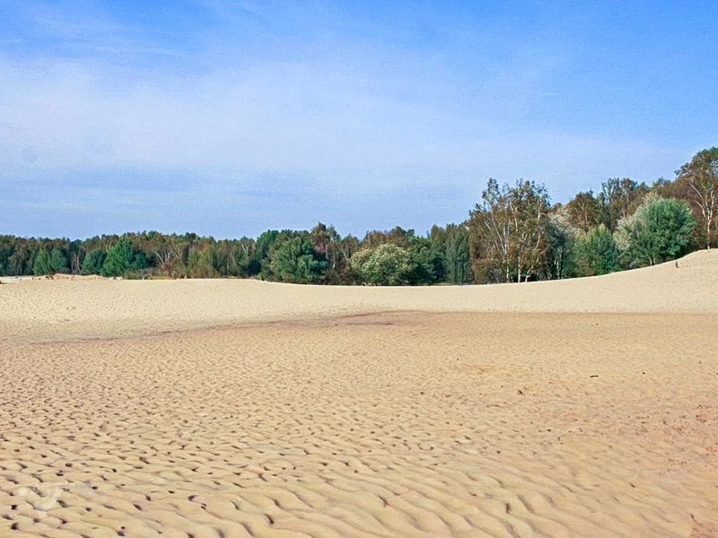 Boberger Dünen – Bild 1