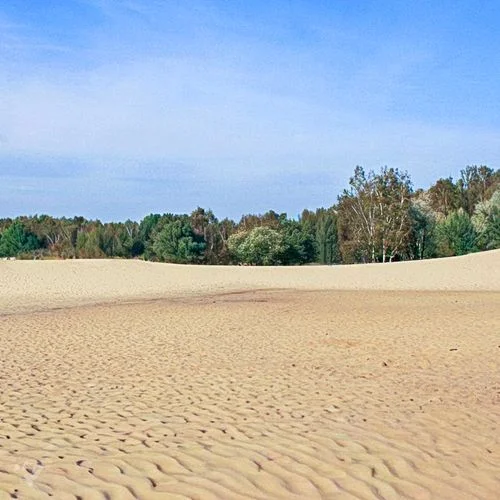 Boberger Dünen