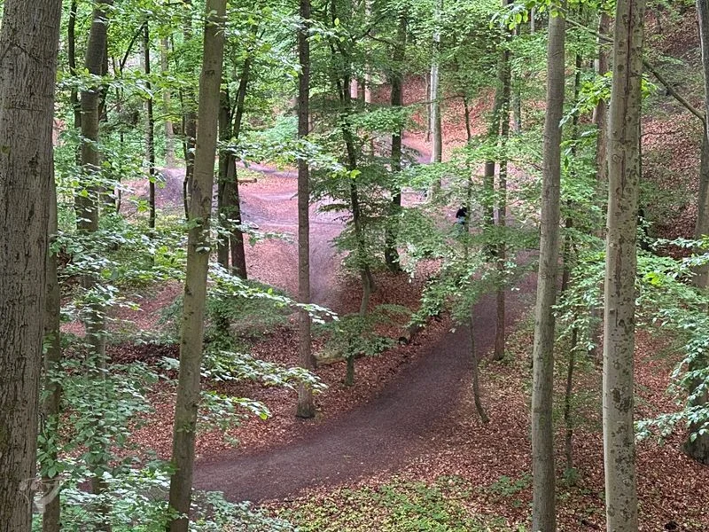 Bikepark Volkspark – Bild 27