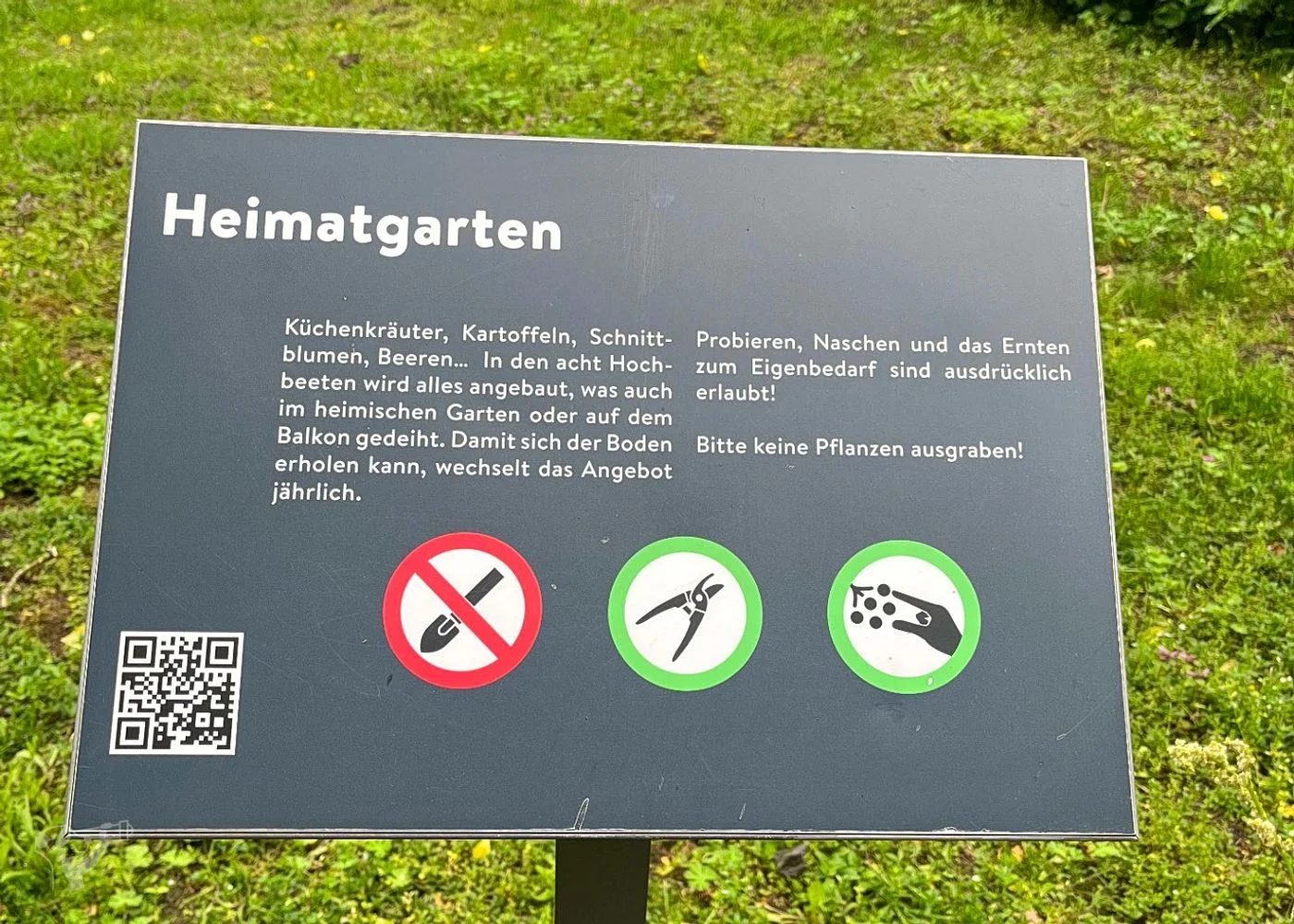 Heimatgarten - Kräuter entdecken – Foto 2