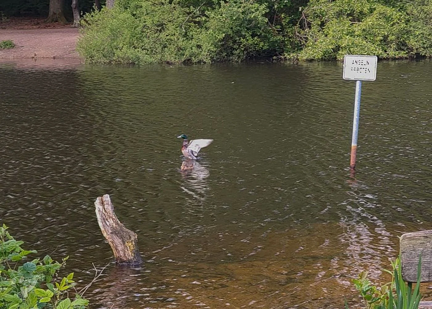 Naturschutzgebiet Raakmoor – Foto 11