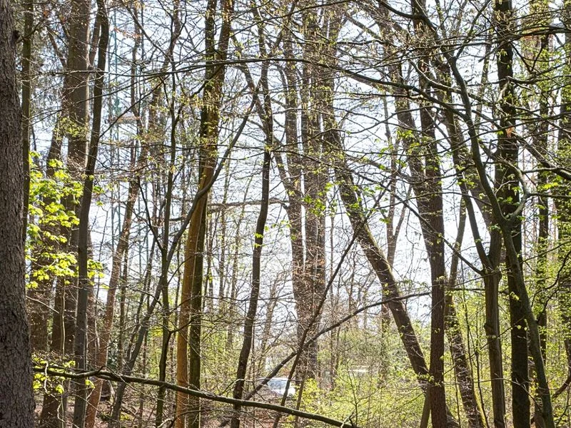 Drachenschlucht Wellingsbüttel – Bild 7