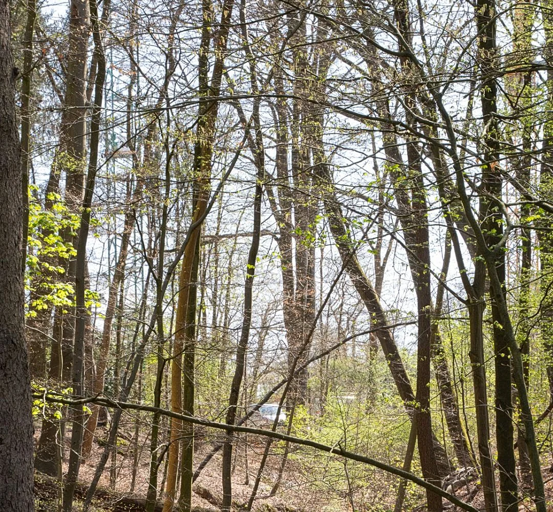 Drachenschlucht Wellingsbüttel – Foto 7