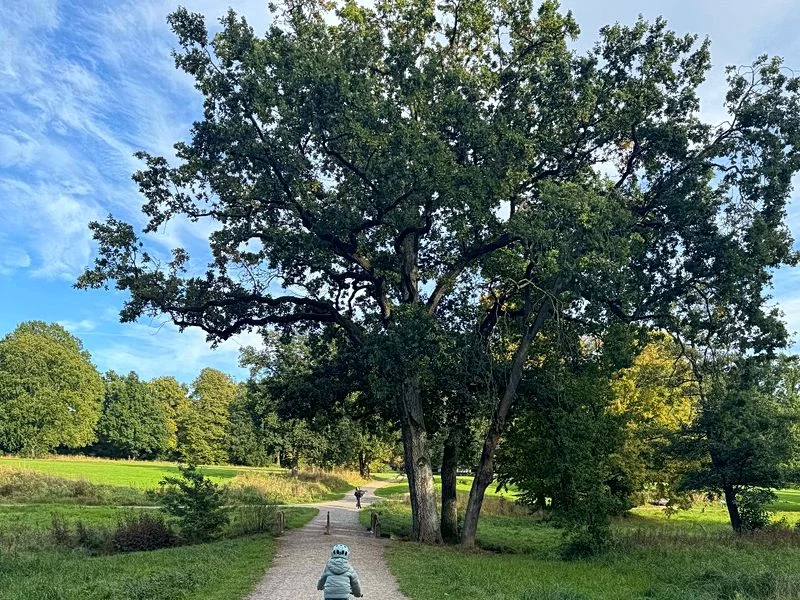 Spielplatz im Jenischpark – Bild 13