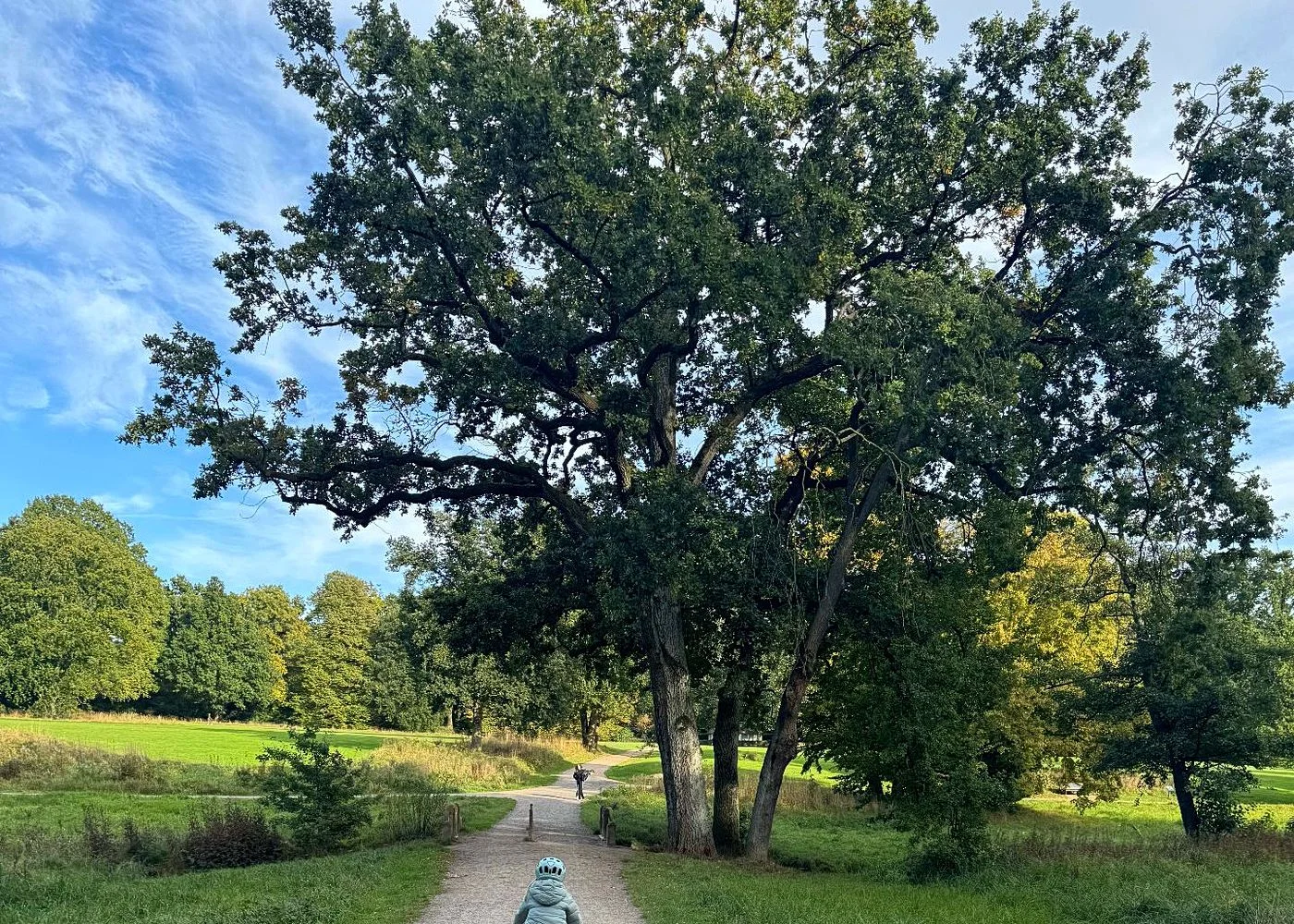 Spielplatz im Jenischpark – Foto 13