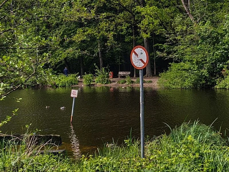 Naturschutzgebiet Raakmoor – Bild 15