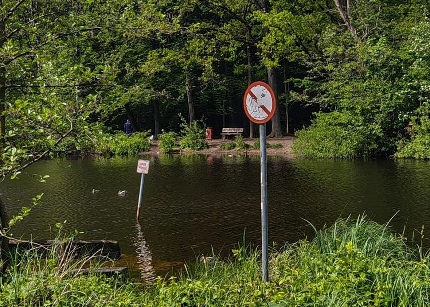 Naturschutzgebiet Raakmoor – Foto 15