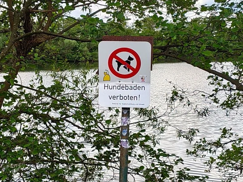 Boberger Niederung und Strand – Bild 11