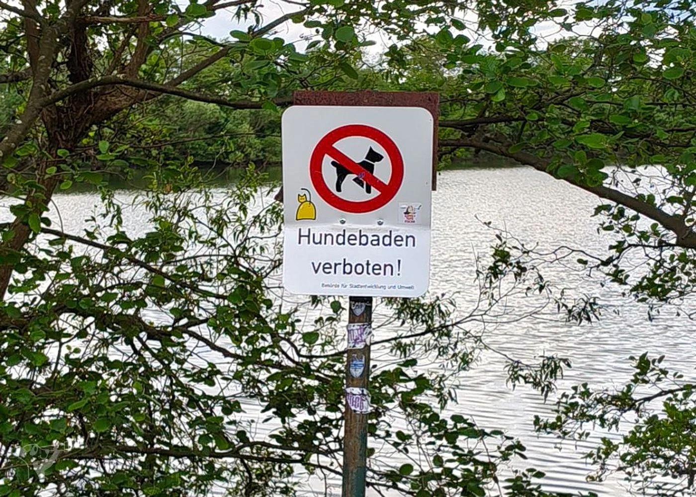 Boberger Niederung und Strand – Foto 11
