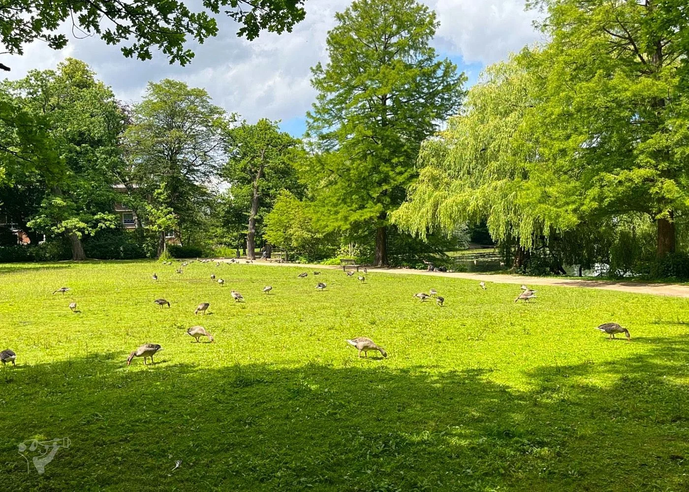 Eichenpark - Enten gucken – Foto 3