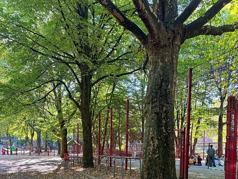 Spielplätze Lindenallee – Bild 24